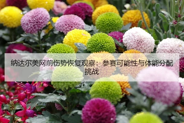 na-da-er-mei-wang-qian-shang-shi-hui-fu-guan-cha-can-sai-ke-neng-xing-yu-ti-neng-fen-pei-tiao-zhan-2-130.jpg